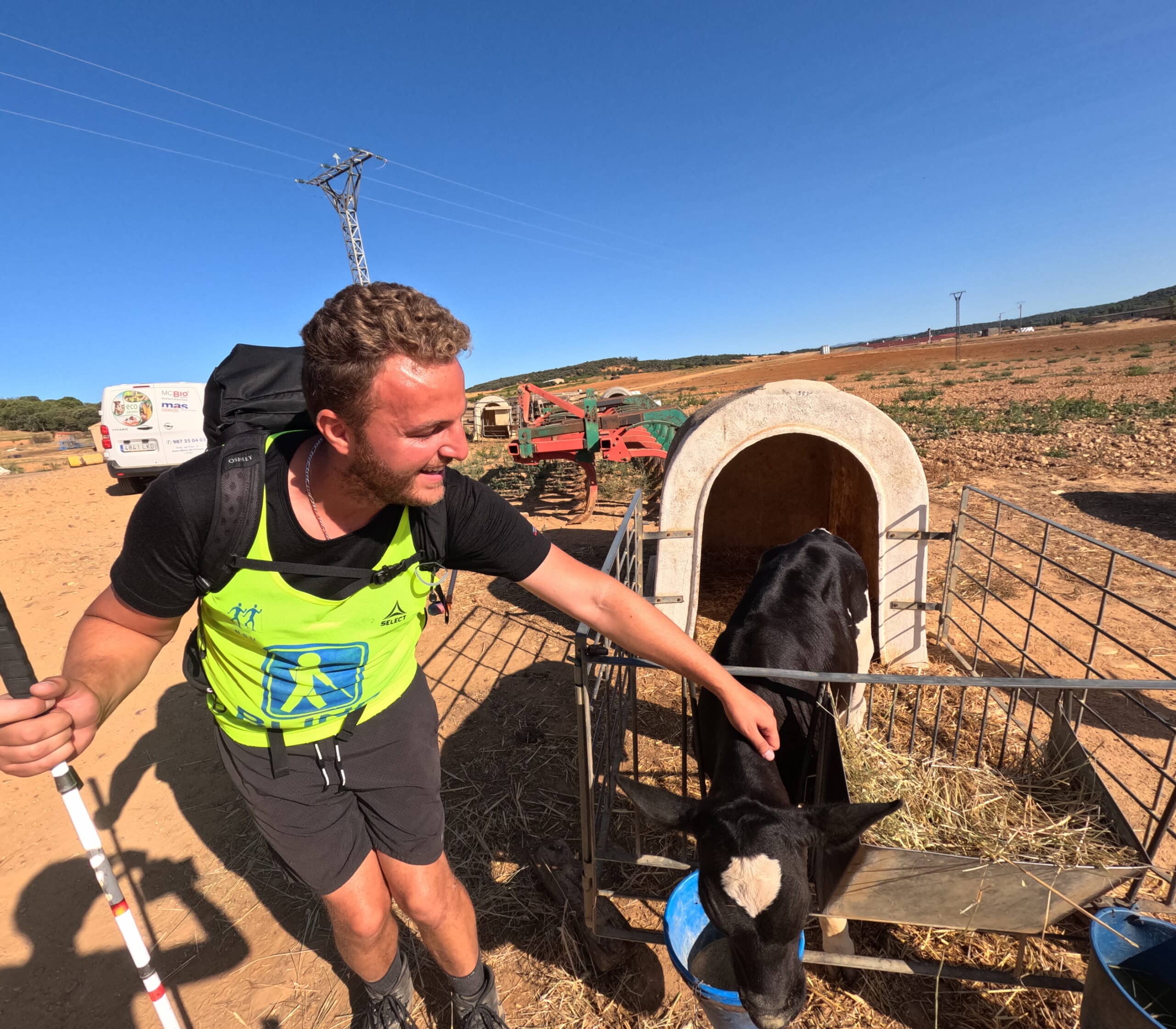 "Connection on the Camino: Meeting a Calf" The image shows Edis wearing a high-visibility vest marked "Blind," holding a white cane and smiling as he pets a calf. The calf is standing in a small enclosure with a feeding trough and a shelter behind it. The setting is a rural area under a bright blue sky, with farming equipment and fields in the background, adding a pastoral charm to the scene.