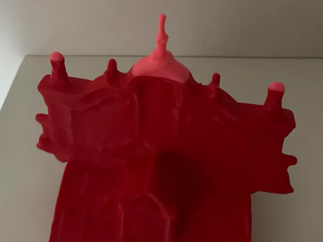Photo of the printed model