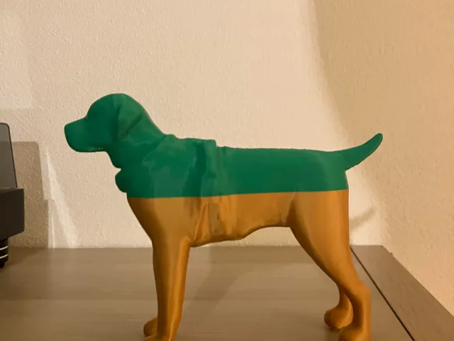 Photo of the printed model