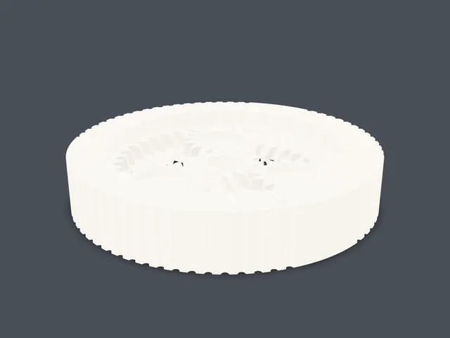 3D rendering of the model